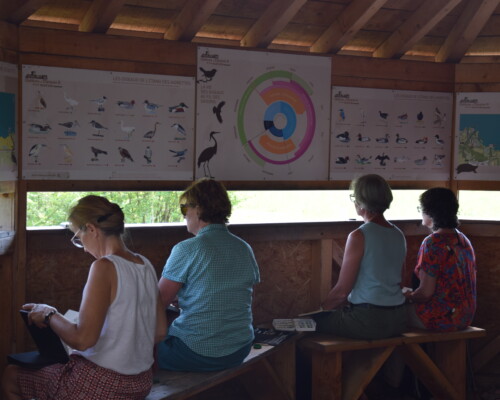 Stage adultes été 2019 49