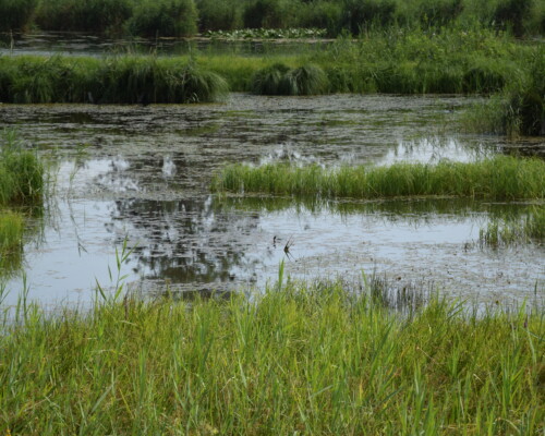 Stage adultes été 2019 47