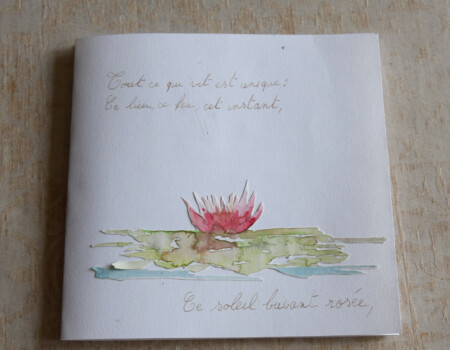 Stage adultes été 2019 61