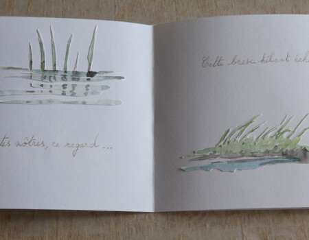 Stage adultes été 2019 62