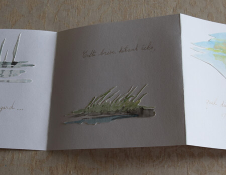 Stage adultes été 2019 63