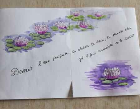 Stage adultes été 2019 66