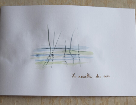 Stage adultes été 2019 57