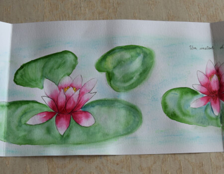 Stage adultes été 2019 65