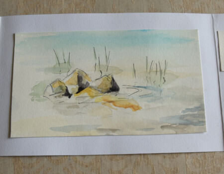 Stage adultes été 2019 70