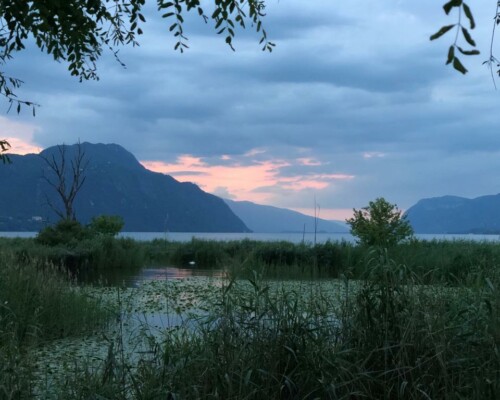 Stage adultes été 2019 5