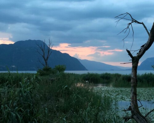 Stage adultes été 2019 3