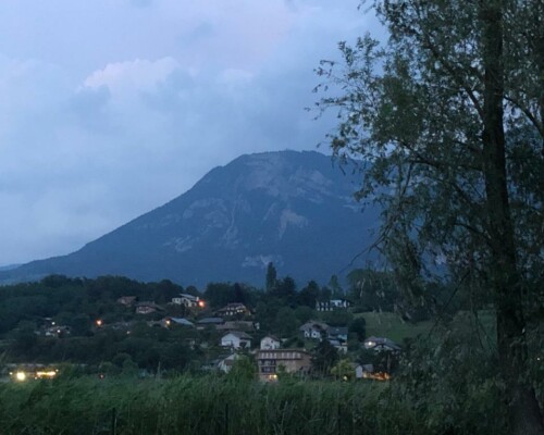 Stage adultes été 2019 21