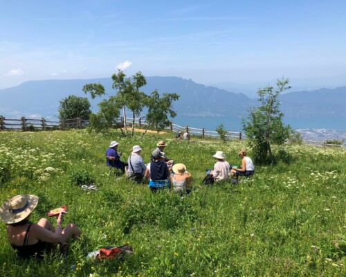 Stage adultes été 2019 33