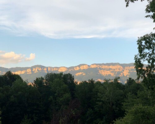 Stage adultes été 2019 1