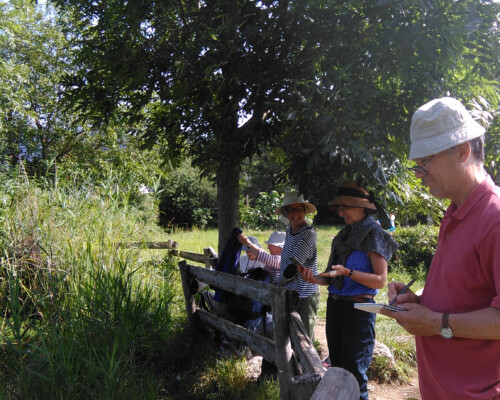 Stage adultes été 2019 10