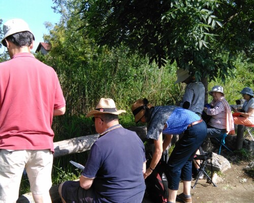 Stage adultes été 2019 12