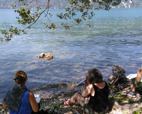 Stage adultes été 2019 18