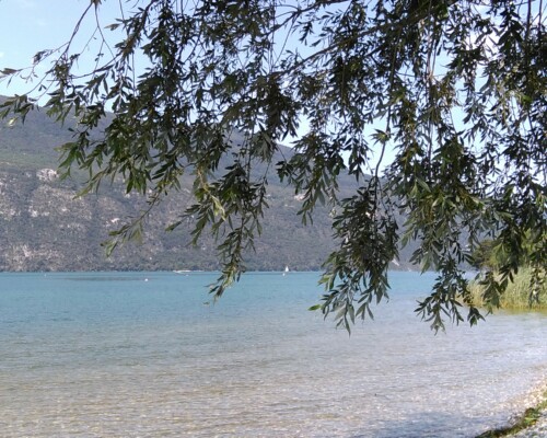 Stage adultes été 2019 14