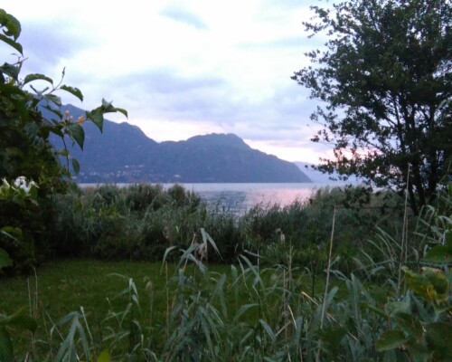 Stage adultes été 2019 6