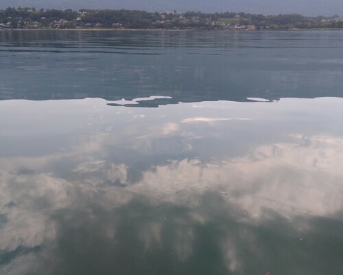 Stage adultes été 2019 27