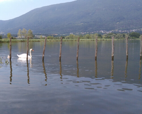 Stage adultes été 2019 25
