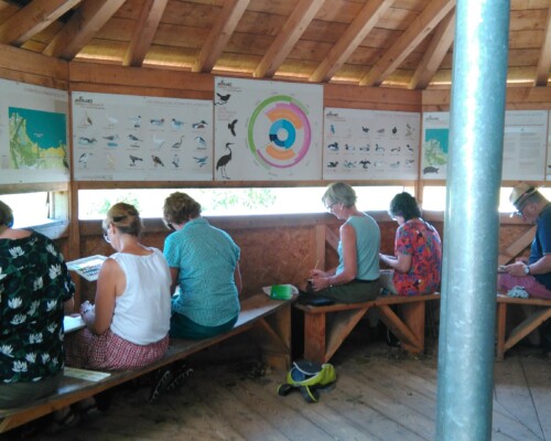 Stage adultes été 2019 48