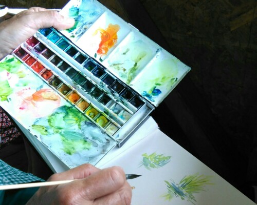 Stage adultes été 2019 2