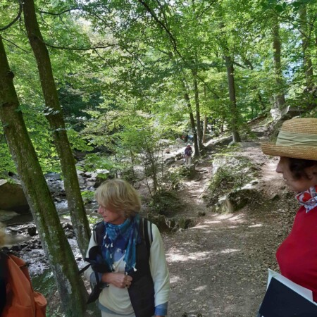 Stage adultes et jeunes été 2020 27