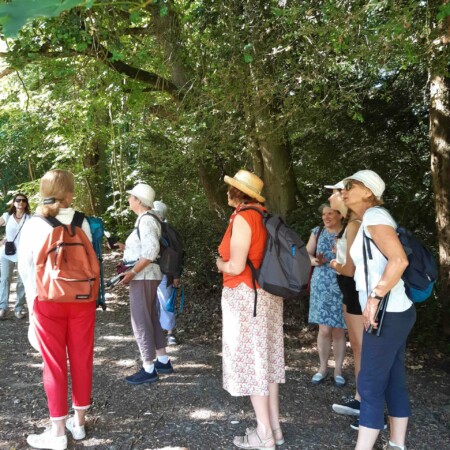 Stage adultes et jeunes été 2020 34