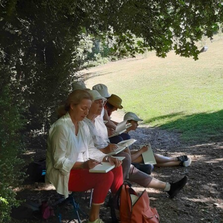 Stage adultes et jeunes été 2020 2