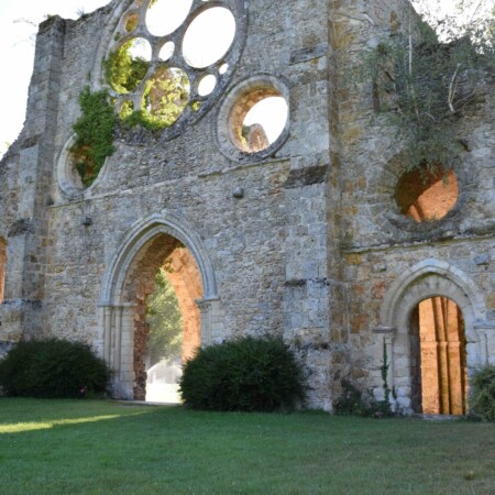Stage adultes et jeunes été 2020 7