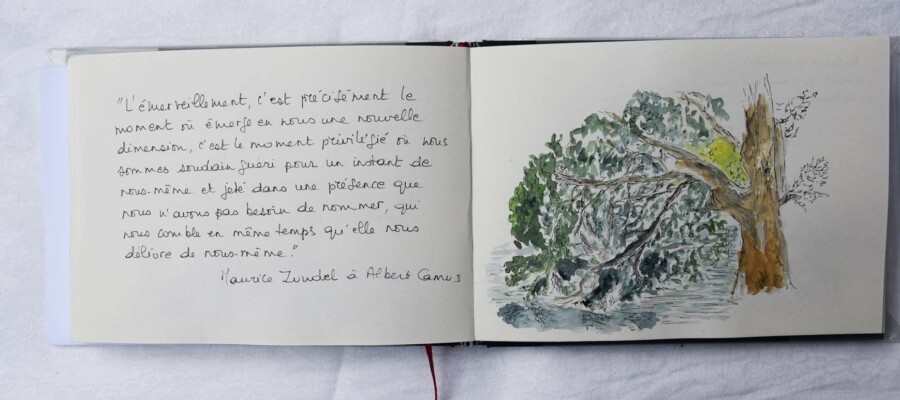 Stage adultes et jeunes été 2020 64