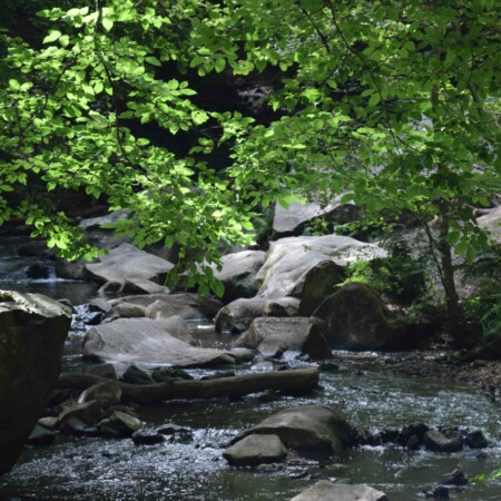 Stage adultes et jeunes été 2020 22