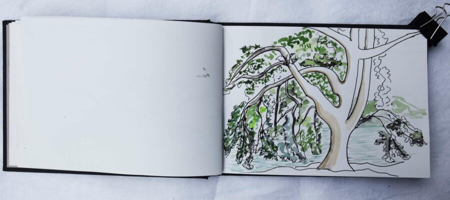 Stage adultes et jeunes été 2020 51