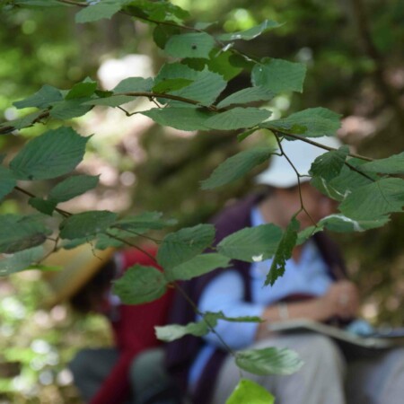 Stage adultes et jeunes été 2020 5