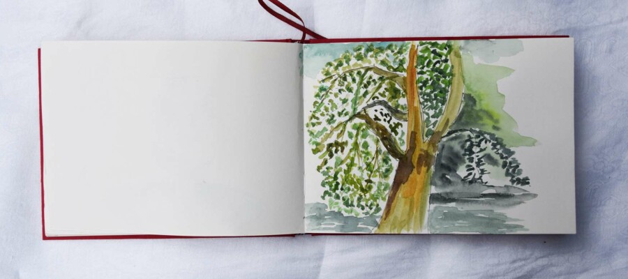 Stage adultes et jeunes été 2020 73