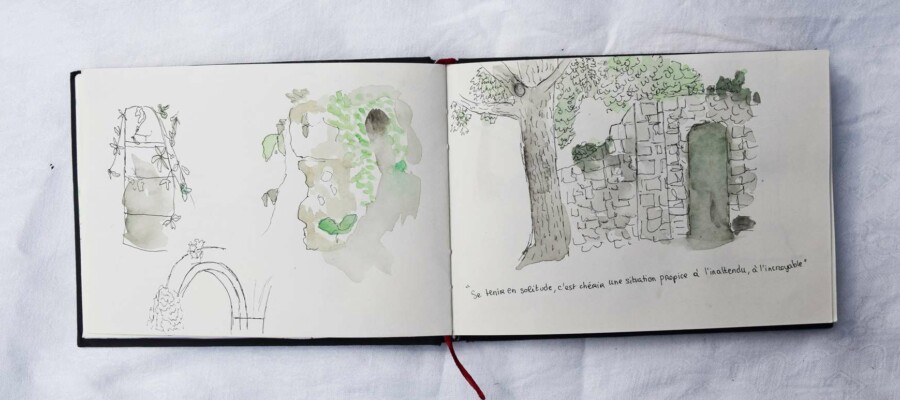 Stage adultes et jeunes été 2020 100