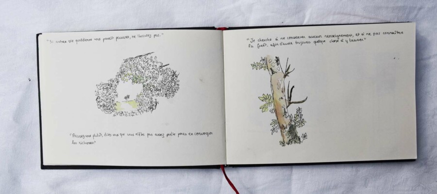 Stage adultes et jeunes été 2020 98