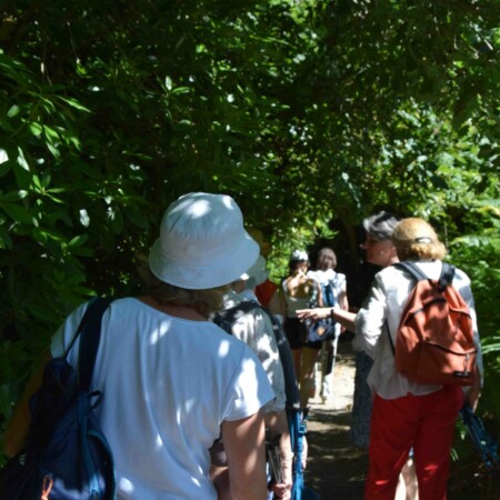 Stage adultes et jeunes été 2020 31