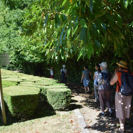 Stage adultes et jeunes été 2020 30