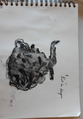 Dessins réalisés par les enfants de l'atelier d'art esquisse de Rambouillet 2021-2022