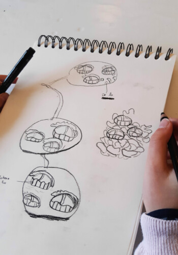 Projet d'architecture végétale par les ados de l'Atelier d'art esquisse de Rambouillet 2022