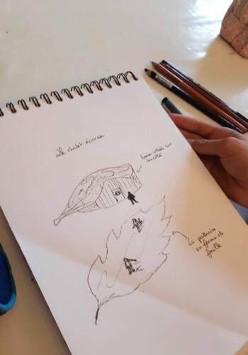 Projet d'architecture végétale par les ados de l'Atelier d'art esquisse de Rambouillet 2022