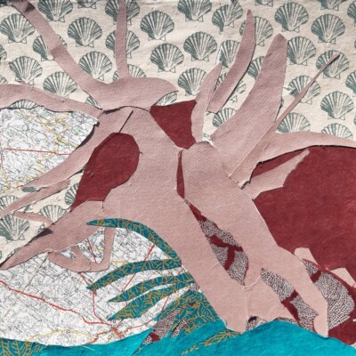Collage réalisé par l'atelier d'art esquisse de Rambouillet. Cours d'art, cours de dessin, cours de peinture 2021- 2022