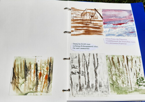 Travaux réalisés par l'atelier d'art esquisse de Rambouillet dans le cadre du cours de dessi, cours de peinture et collage 2021-2022