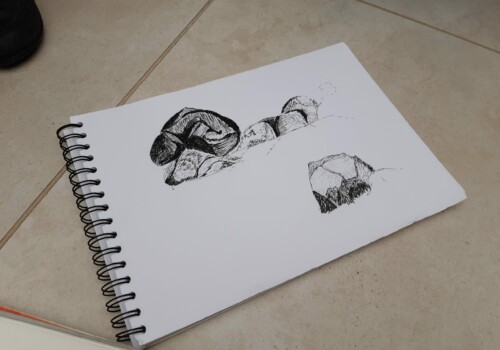 Atelier adultes 42
