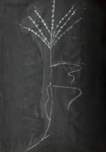 Travaux réalisés par l'atelier d'art esquisse des adultes à Rambouillet , en dessin, peinture et collage sur le thème des Herbes folles.