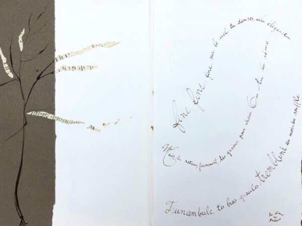 Travaux réalisés par l'atelier d'art esquisse des adultes à Rambouillet , en dessin, peinture et collage sur le thème des Herbes folles.