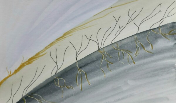 Travaux réalisés par l'atelier d'art esquisse des adultes à Rambouillet , en dessin, peinture et collage sur le thème des Herbes folles.