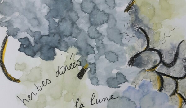 Travaux réalisés par l'atelier d'art esquisse des adultes à Rambouillet , en dessin, peinture et collage sur le thème des Herbes folles.