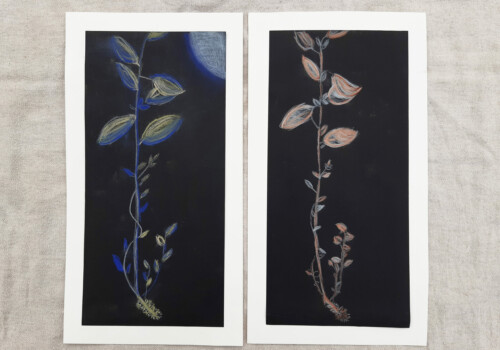 Dessin, peinture et collage de l'atelier des jeunes et adultes de l'Atelier d'art esquisse de Rambouillet, année 2023-2024.