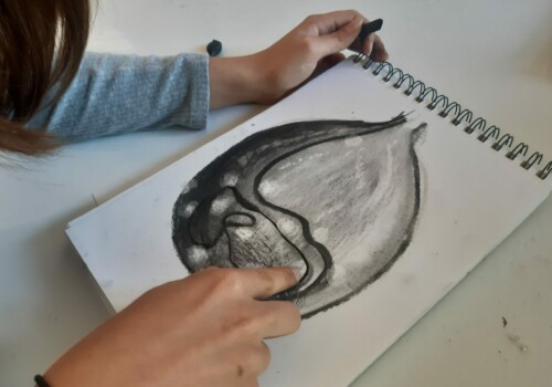 Atelier ados - collège 16